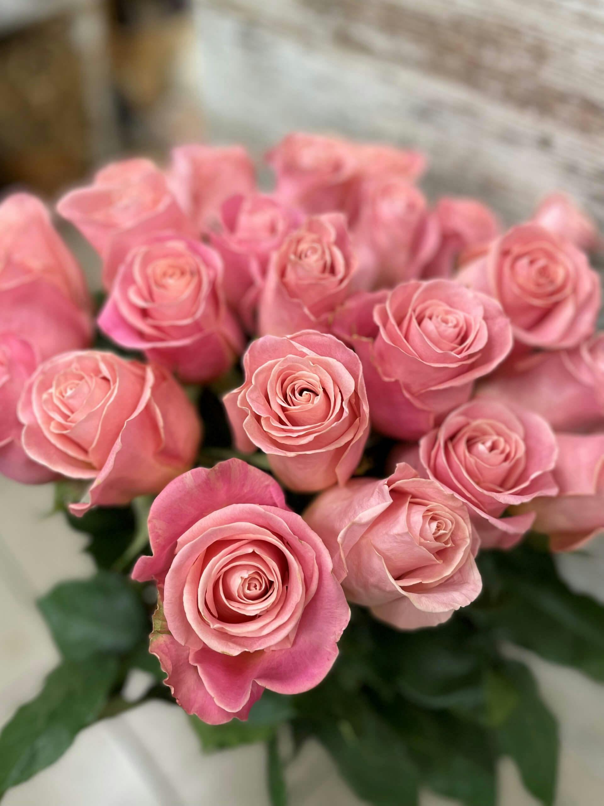 Rožinės Rožės